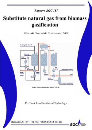 Substitute Natural Gas from Biomass Gasification