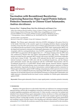 Vaccination with Recombinant Baculovirus Expressing Ranavirus Major Capsid Protein Induces Protective Immunity in Chinese Giant Salamander, Andrias Davidianus