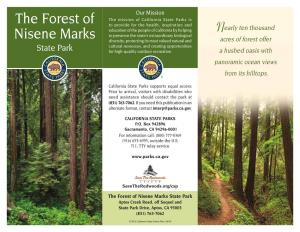 The Forest of Nisene Marks State Park Aptos Creek Road, Off Soquel and State Park Drive, Aptos, CA 95003 (831) 763-7062
