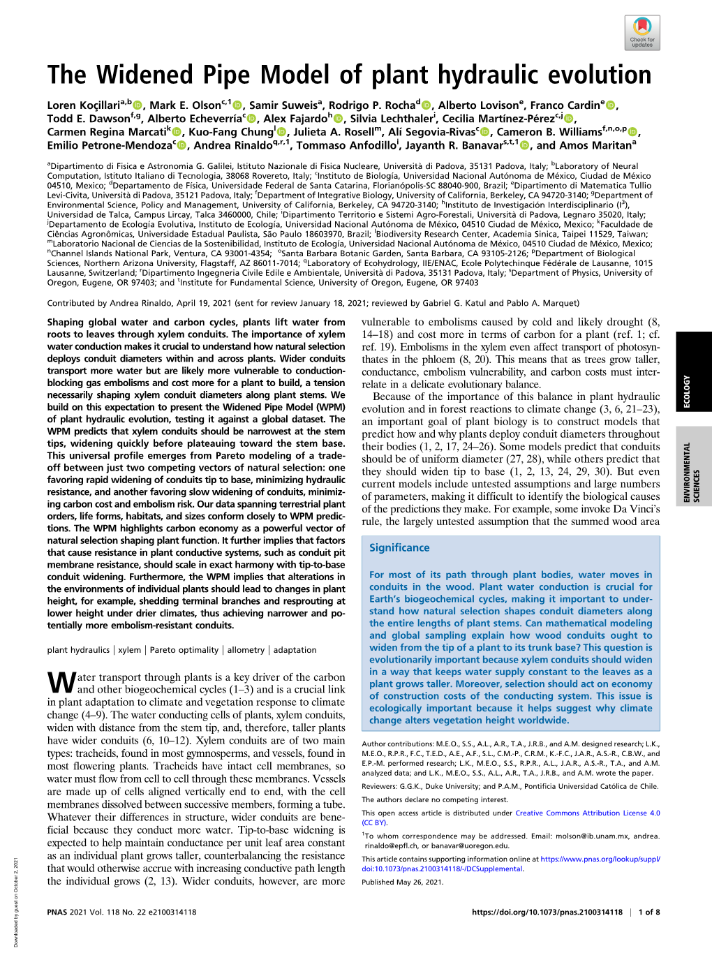 The Widened Pipe Model of Plant Hydraulic Evolution