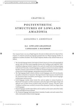Polysynthetic Structures of Lowland Amazonia