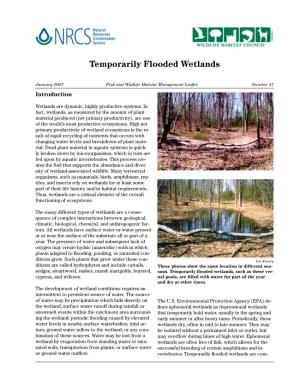 Temporarily Flooded Wetlands