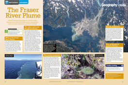 The Fraser River Plume