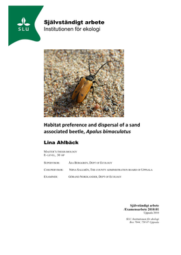 Habitat Preference and Dispersal of a Sand Associated Beetle, Apalus Bimaculatus