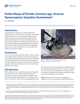 Potter Wasps of Florida,Eumenes Spp