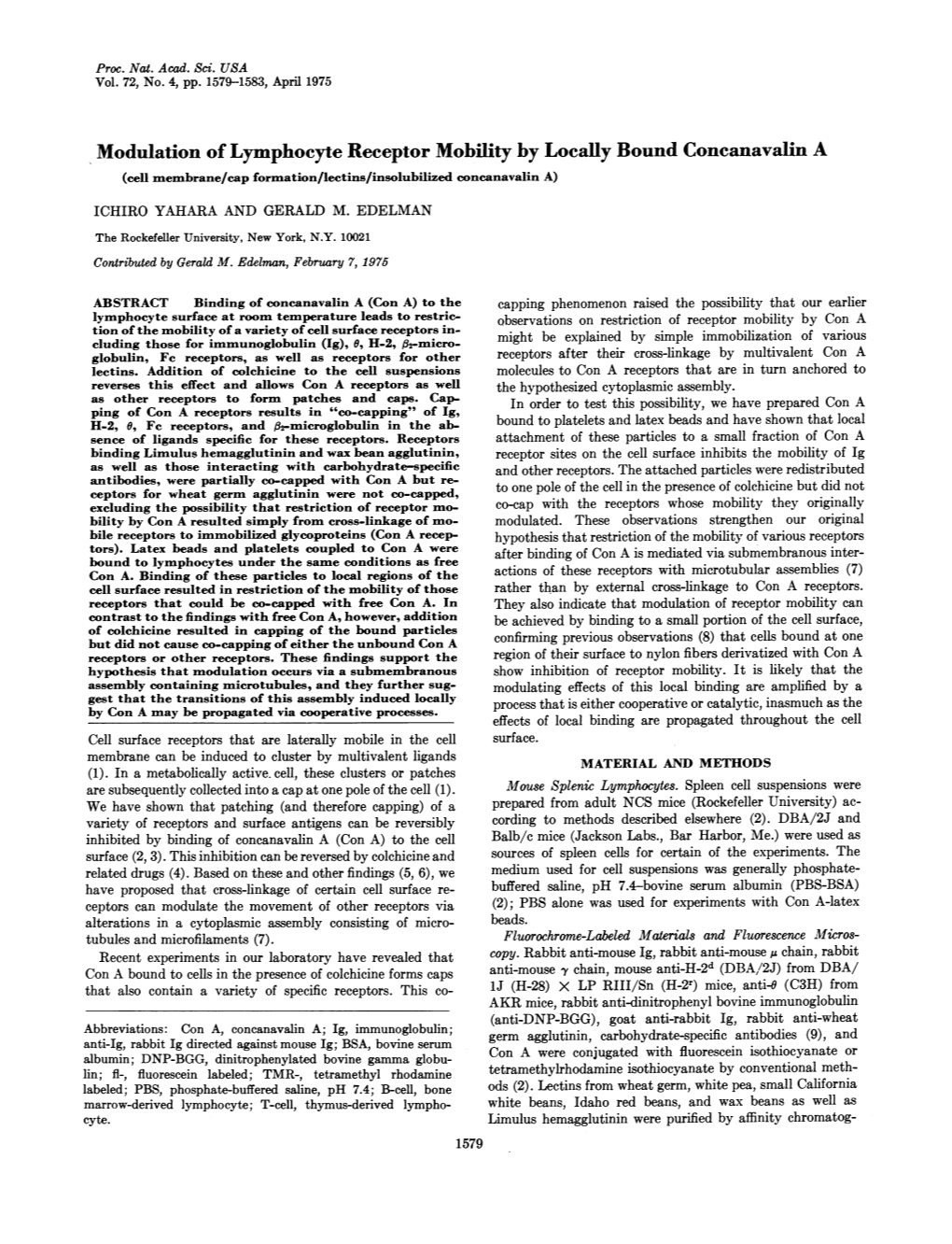 Modulation of Lymphocyte Receptor Mobility by Locally Bound