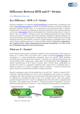 Difference Between HFR and F+ Strains Key Difference - HFR Vs F+ Strains