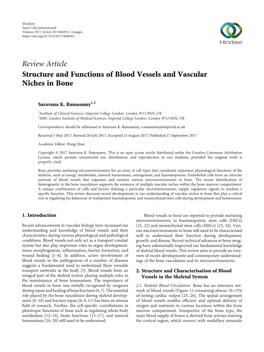 Review Article Structure and Functions of Blood Vessels and Vascular Niches in Bone