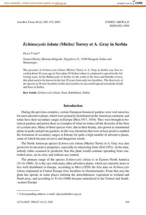 Echinocystis Lobata (Michx) Torrey Et A