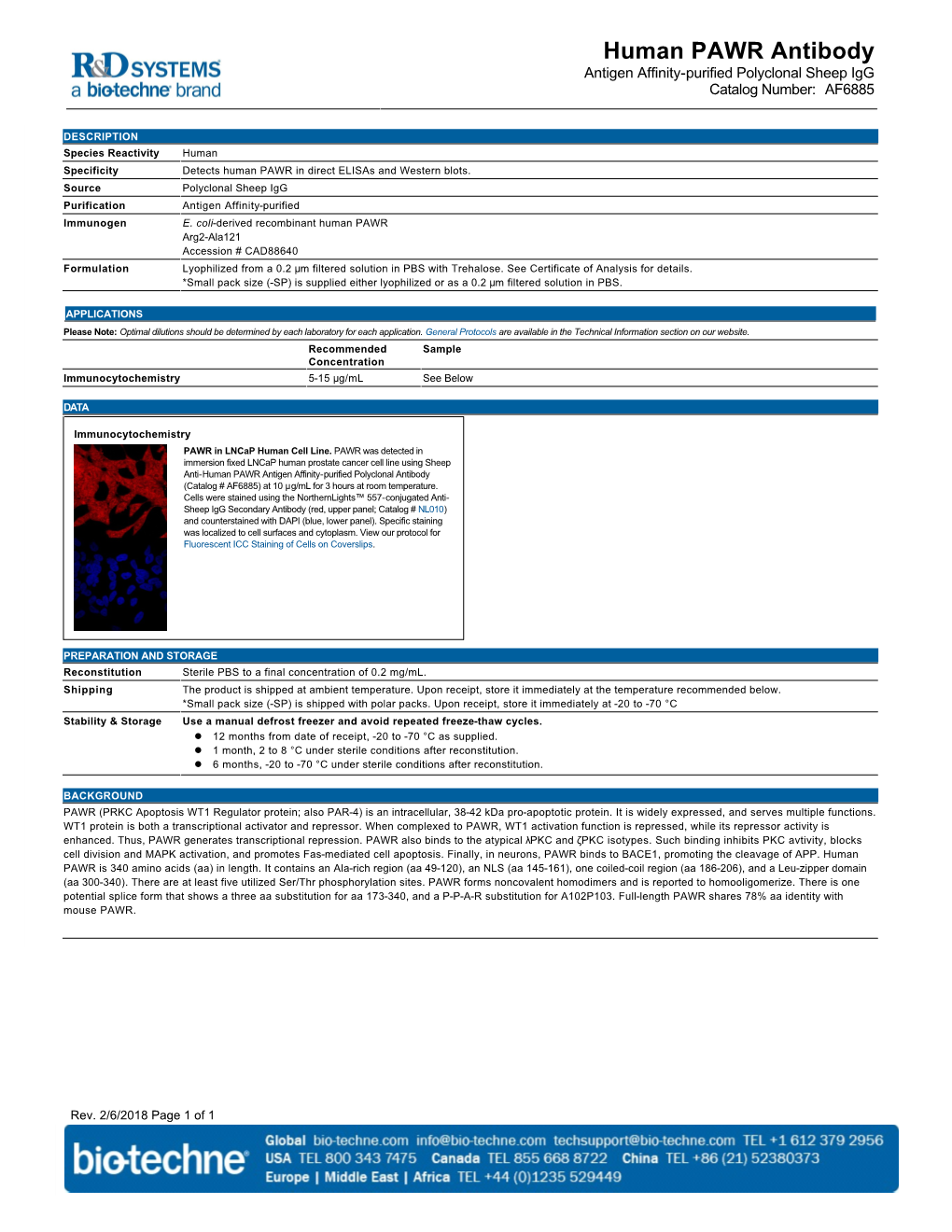 Human PAWR Antibody Antigen Affinity-Purified Polyclonal Sheep Igg Catalog Number: AF6885