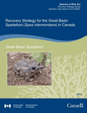 Recovery Strategy for the Great Basin Spadefoot (Spea Intermontana) in Canada