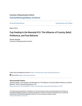 Cup Feeding in the Neonatal ICU: the Influence of Country, Belief, Preference, and Past Behavior