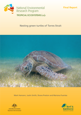 Nesting Green Turtles of Torres Strait