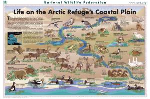 Arctic Map.Lay