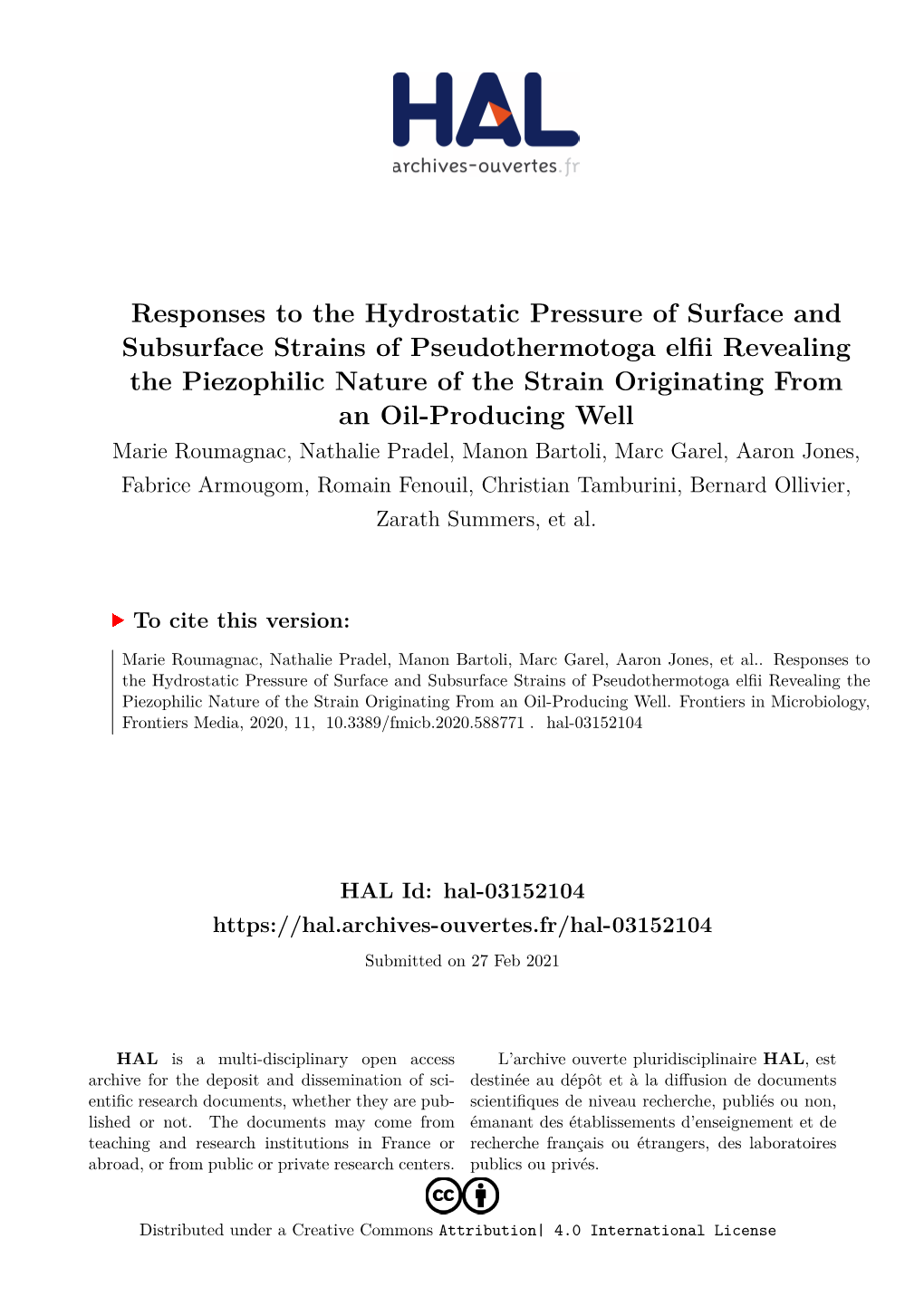 Responses to the Hydrostatic Pressure of Surface