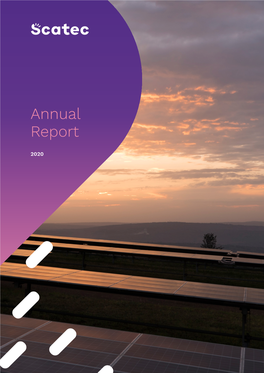 Annual Report 2020 3