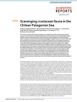 Scavenging Crustacean Fauna in the Chilean Patagonian Sea Guillermo Figueroa-Muñoz1,2, Marco Retamal3, Patricio R