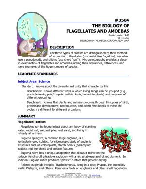 3584 the BIOLOGY of FLAGELLATES and AMOEBAS Grade Levels: 9-12 16 Minutes ENVIRONMENTAL MEDIA CORPORATION 1997
