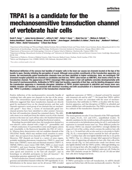 TRPA1 Is a Candidate for the Mechanosensitive Transduction Channel of Vertebrate Hair Cells