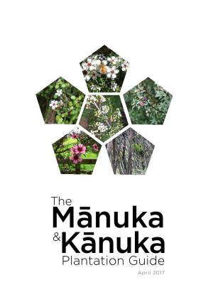 The Manuka & Kanuka Plantation Guide