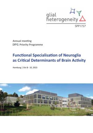 Functional Specialisation of Neuroglia As Critical Determinants of Brain Activity
