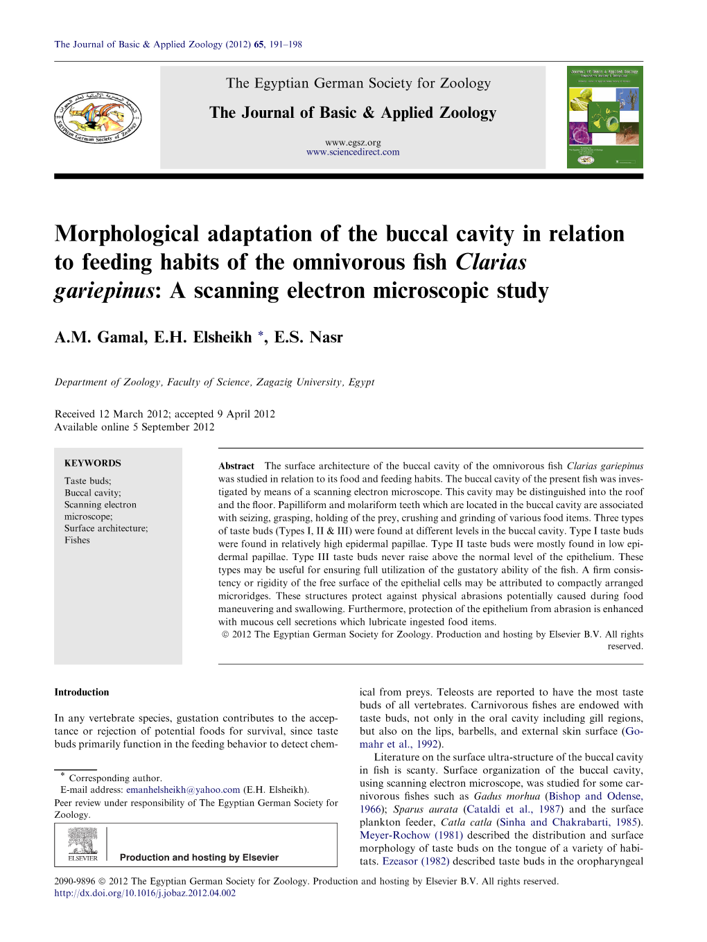 Morphological Adaptation of the Buccal Cavity in Relation to Feeding