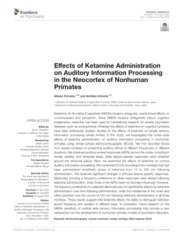 Effects of Ketamine Administration on Auditory Information Processing in the Neocortex of Nonhuman Primates