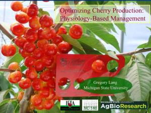 Optimizing Cherry Production: Physiology-Based Management
