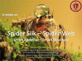 Spider-Silk-Talk.Pdf