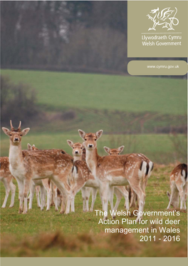 The Welsh Government's Action Plan for Wild