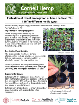 Evaluation of Clonal Propagation of Hemp Cultivar 'TJ's CBD'