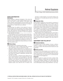 Retinal Dysplasia