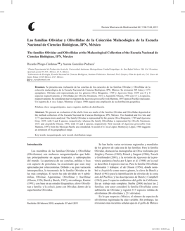Las Familias Olividae Y Olivellidae De La Colección Malacológica De La Escuela Nacional De Ciencias Biológicas, IPN, México