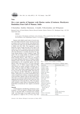 On a Rare Species of Spanner Crab Ranina Ranina (Crustacea: Brachyura: Raninidae) from Gulf of Mannar, India