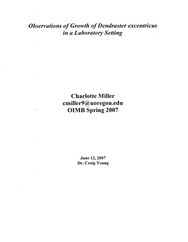 Observations of Growth of Dendraster Excentricus in a Laboratory Setting