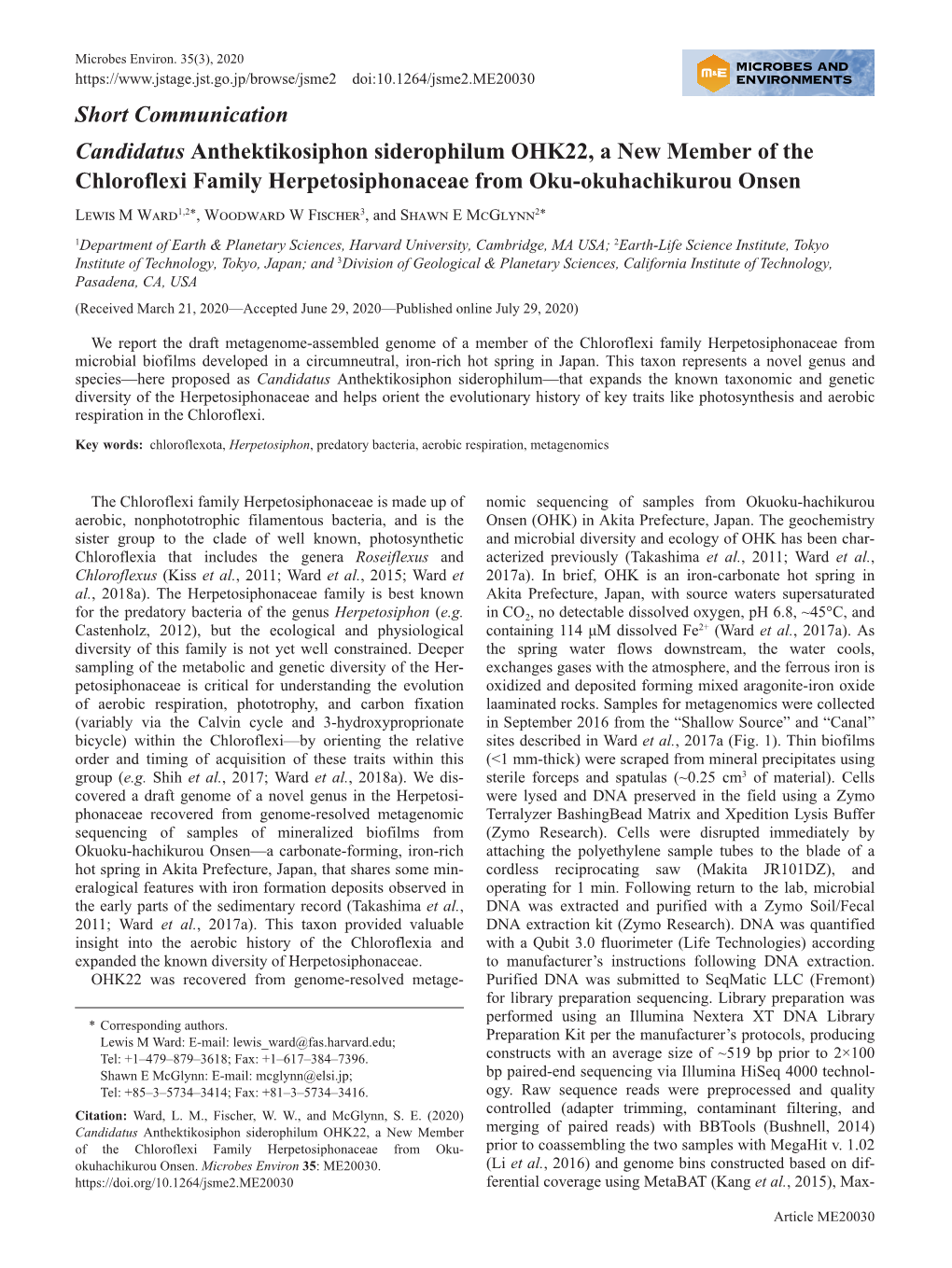 Candidatus Anthektikosiphon Siderophilum OHK22, a New