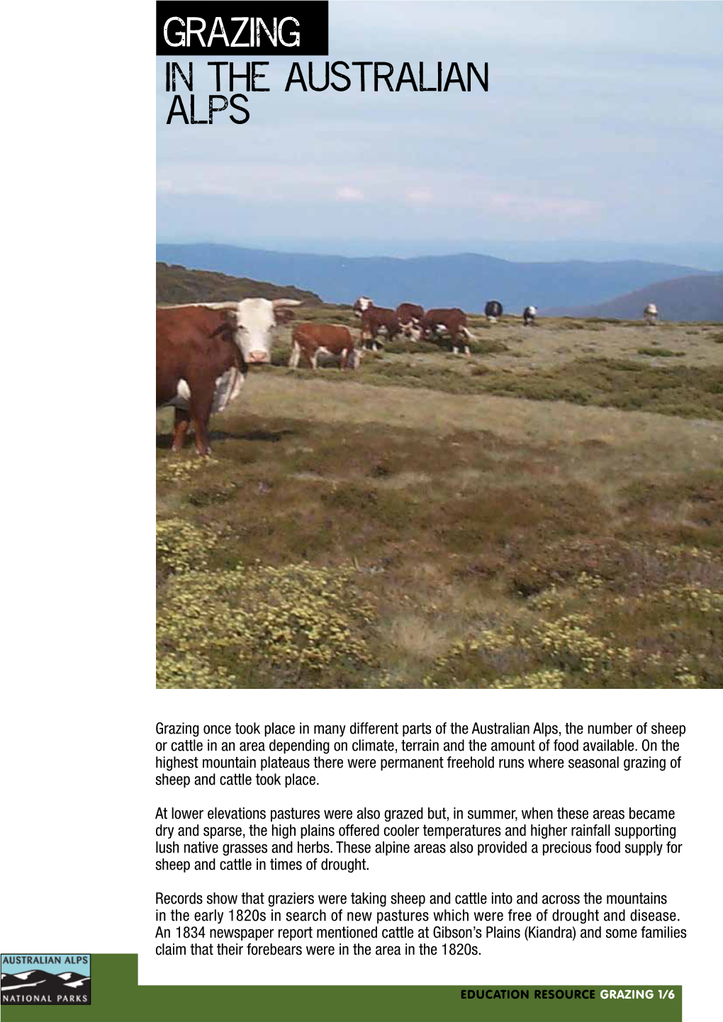 Grazing and the Australian Alps Factsheet