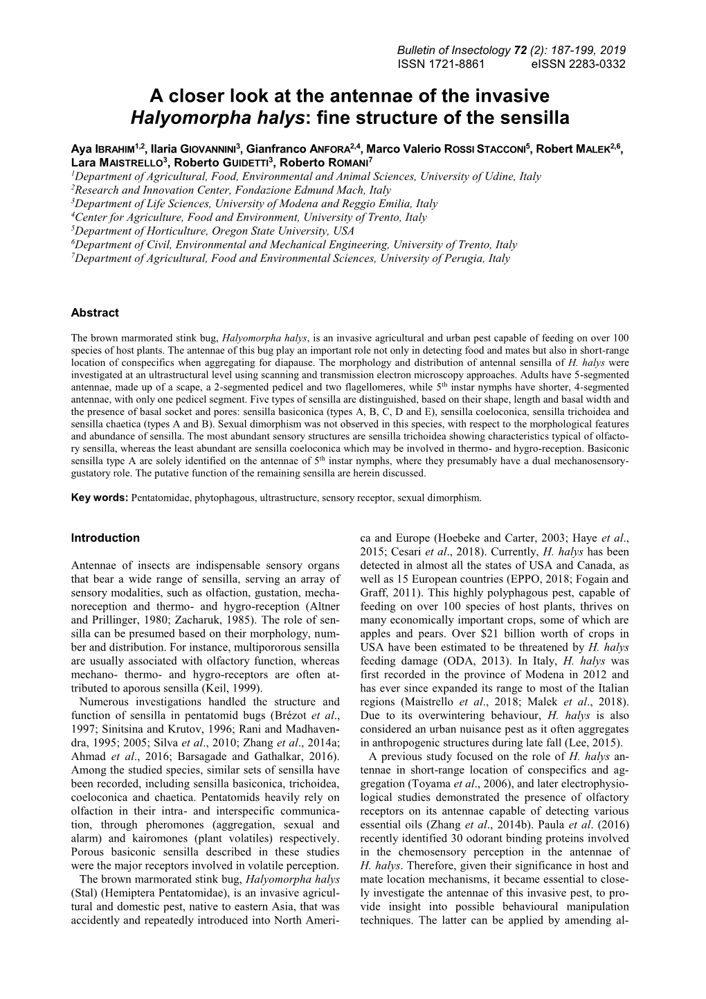 A Closer Look at the Antennae of the Invasive Halyomorpha Halys: Fine Structure of the Sensilla