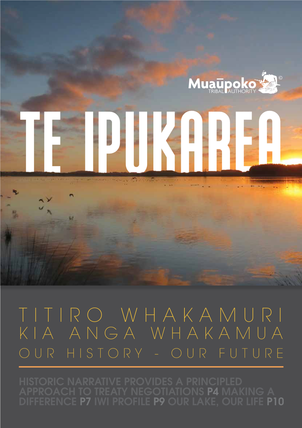 Titiro Whakamuri Kia Anga Whakamua Our History - Our Future