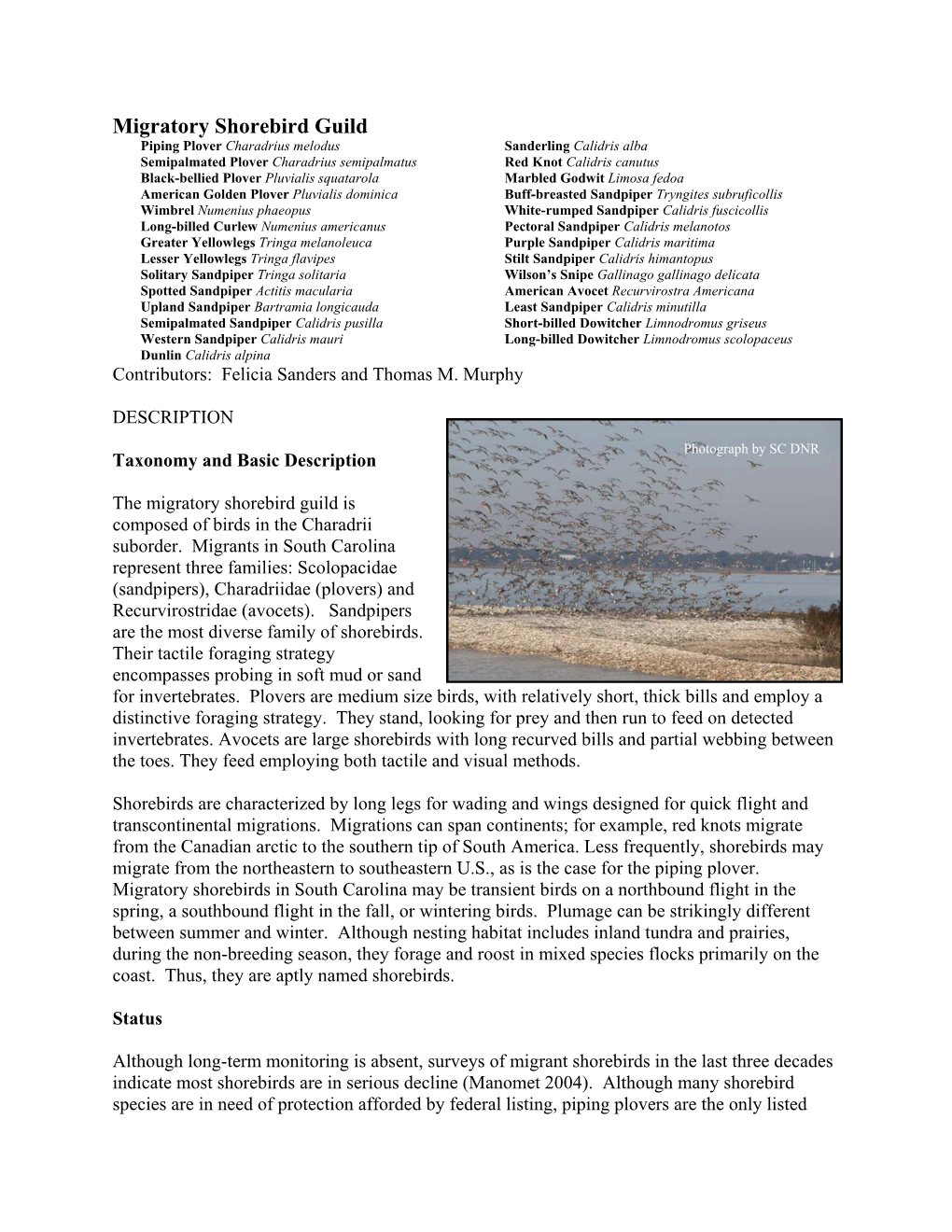 Migratory Shorebird Guild