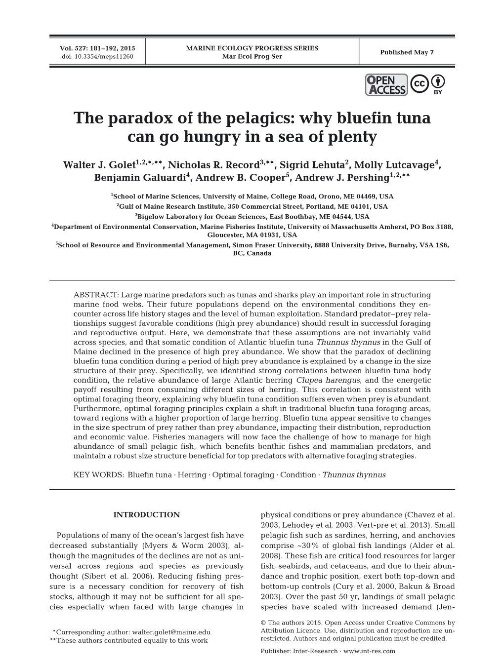 The Paradox of the Pelagics: Why Bluefin Tuna Can Go Hungry in a Sea of Plenty