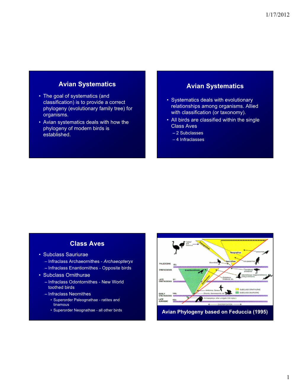 Speciation 1