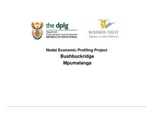Bushbuckridge Mpumalanga Nodal Economic Profiling Project Business Trust & Dplg, 2007 Bushbuckridge Context
