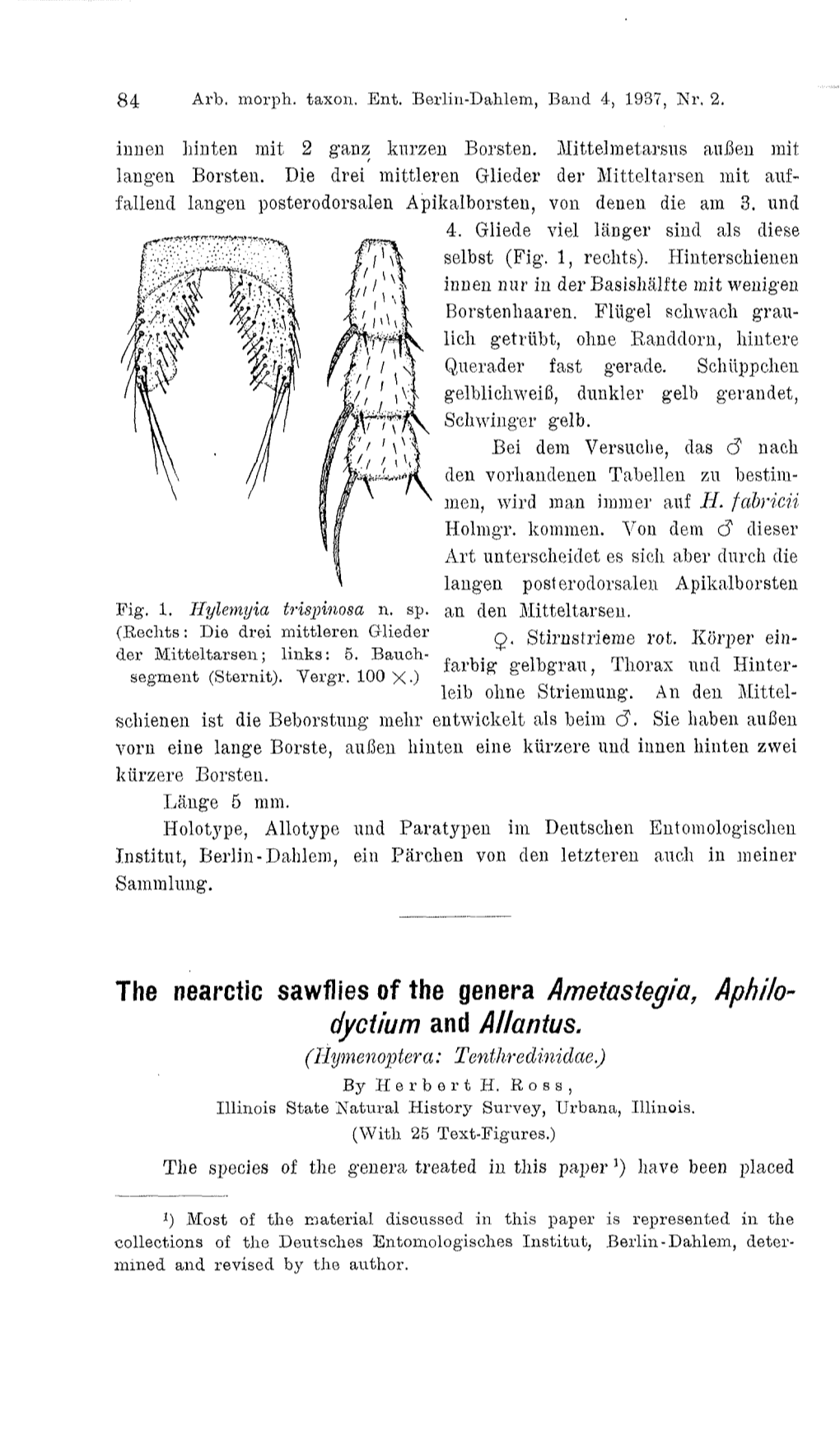 The Nearctic Sawflies of the Genera Ametastegia, Aphilo- Dyctium and Allantus