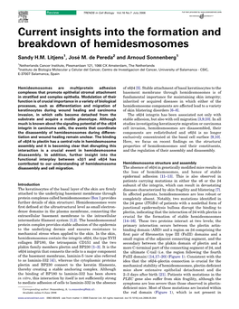 Current Insights Into the Formation and Breakdown of Hemidesmosomes