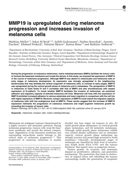 MMP19 Is Upregulated During Melanoma Progression and Increases Invasion of Melanoma Cells