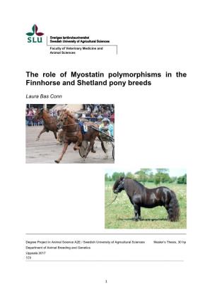 The Role of Myostatin Polymorphisms in the Finnhorse and Shetland Pony Breeds