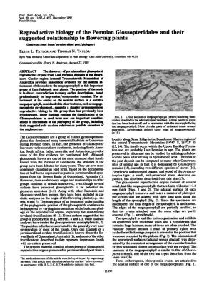 Reproductive Biology of the Permian Glossopteridalesand Their