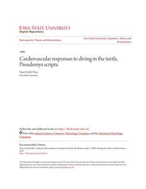 Cardiovascular Responses to Diving in the Turtle, Pseudemys Scripta Stuart Keith Ware Iowa State University