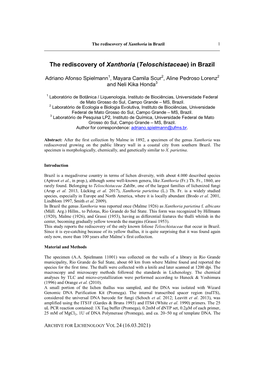 The Rediscovery of Xanthoria (Teloschistaceae) in Brazil